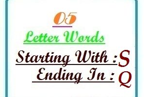 words starting with S and ending in Q - LetterWord.com
