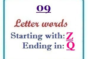 Nine letter words starting with Z and ending in Q