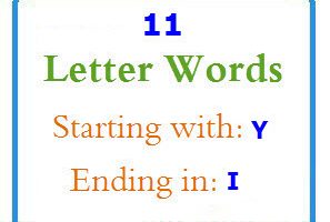 Eleven letter words starting with Y and ending in I