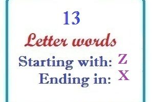 Thirteen letter words starting with Z and ending in X