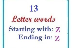 Thirteen letter words starting with Z and ending in Z