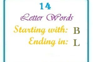 Fourteen letter words starting with B and ending in L