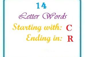 Fourteen letter words starting with C and ending in R