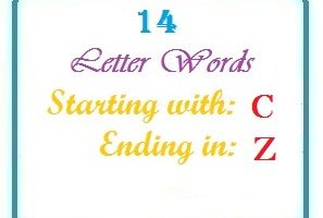 Fourteen letter words starting with C and ending in Z