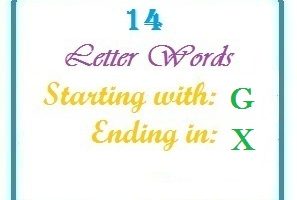 Fourteen letter words starting with G and ending in X