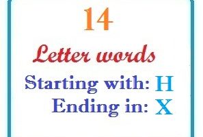Fourteen letter words starting with H and ending in X