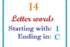 Fourteen letter words starting with I and ending in C
