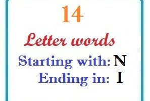 Fourteen letter words starting with N and ending in I