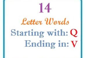 Fourteen letter words starting with Q and ending in V