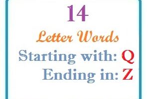Fourteen letter words starting with Q and ending in Z