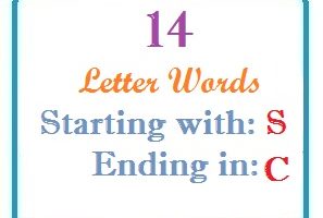 Fourteen letter words starting with S and ending in C